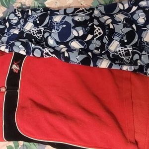 2  boys fleece hooded sweaters